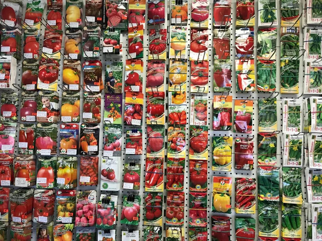 магазин семян для сада. садовый мир семян. садовый мир в стройландии. комнатные цветы в магазине. садовый мир семян.