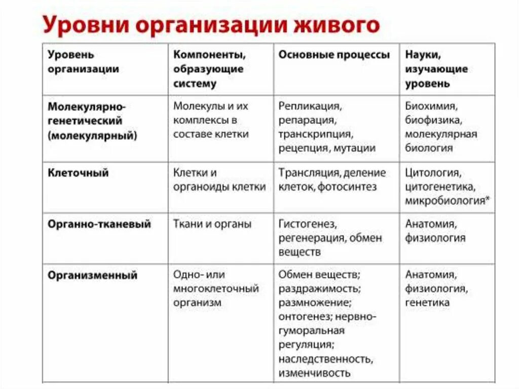 Охарактеризуйте основные свойства биосистемы 9 класс. Уровни организации биосистем. уровень биосистема компоненты основные процессы таблица. структура биосистемы. последовательность проектирования it систем.