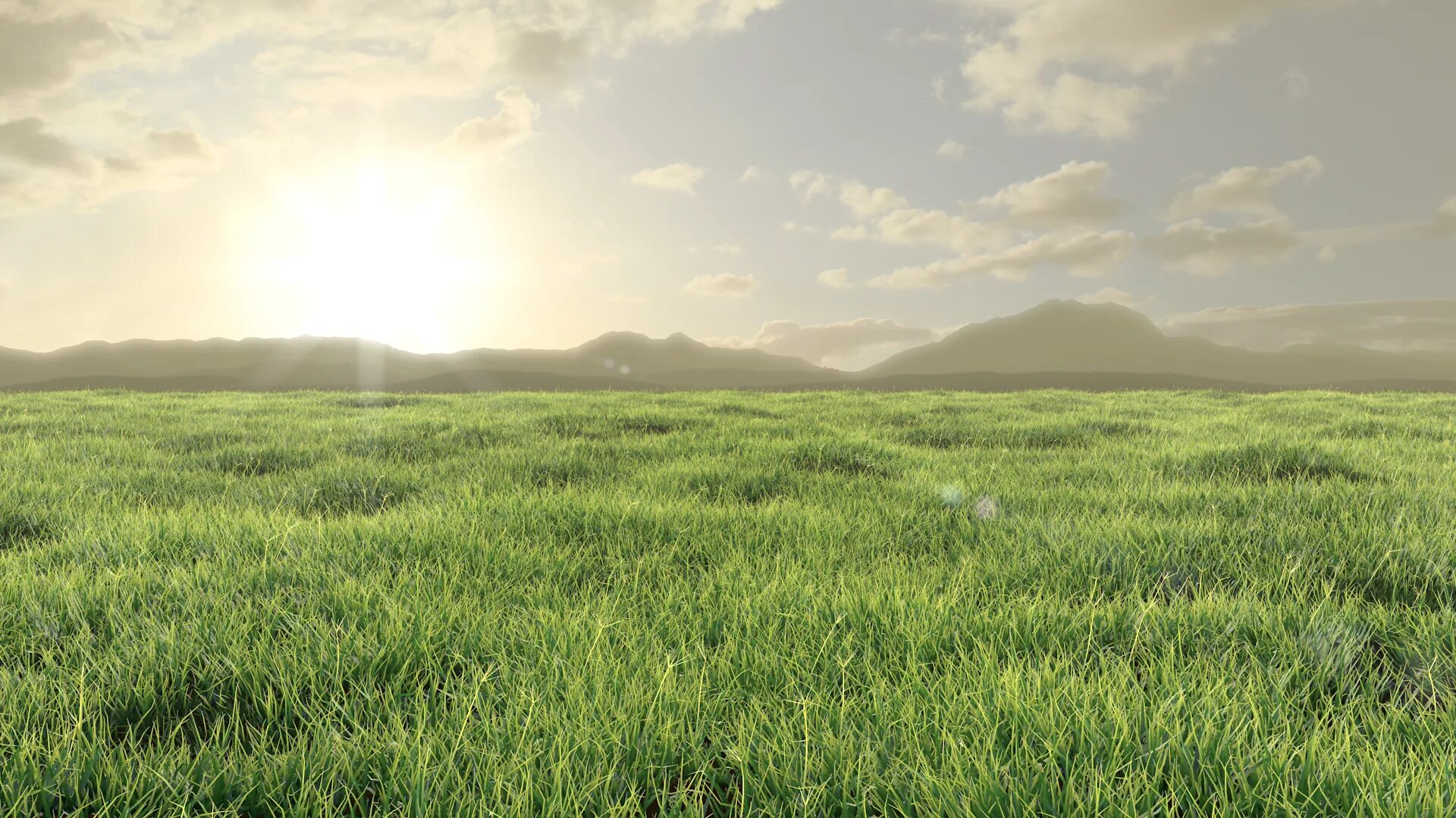 Травянистые равнины. Трава и небо. Равнина с травой. Равнина без травы.