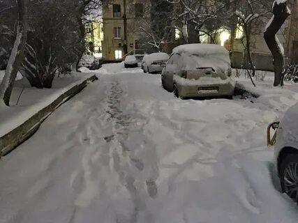 Снежок выпал