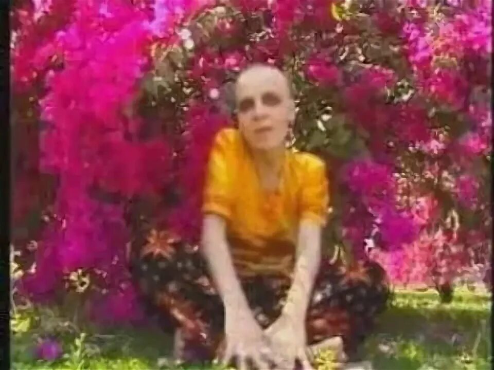 Либа либа аморе аморе. Аморе автомобиль. Маша и медведи группа любочка. Либа либа аморе аморе. Маша и медведи рок группа.