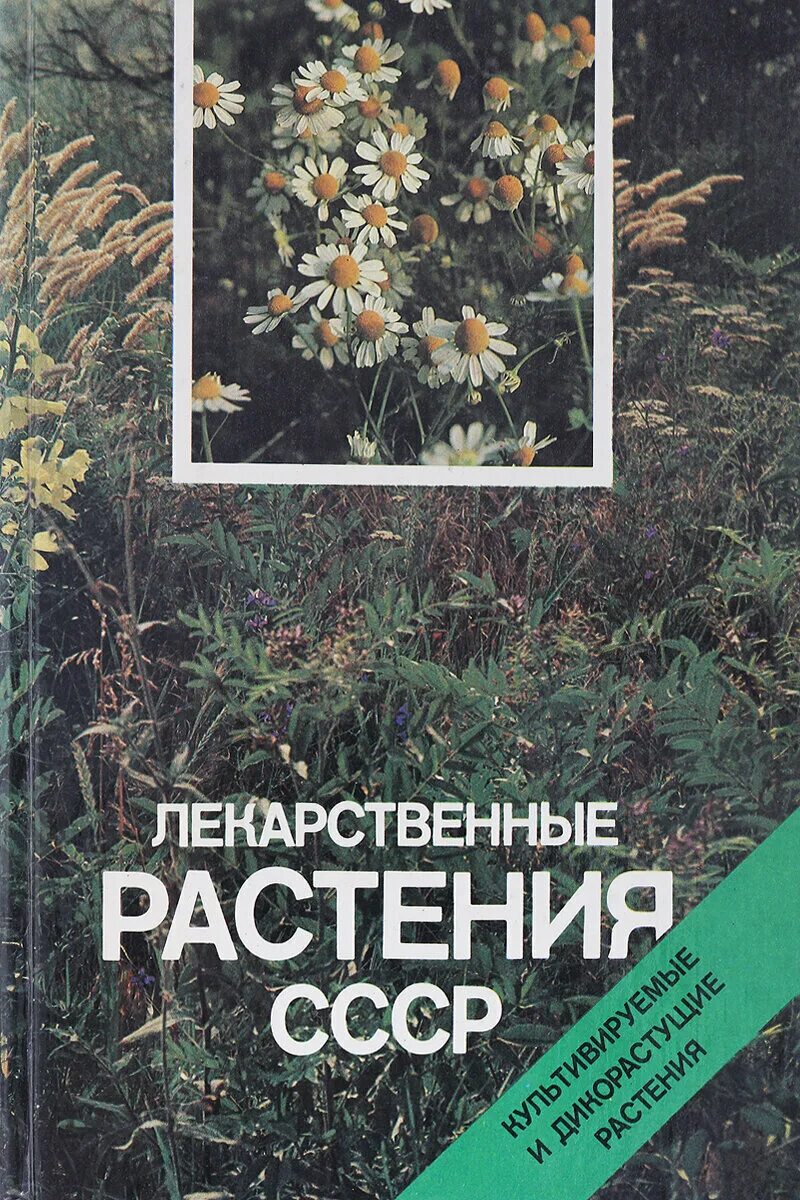 Книга лекарственные травы. Растения. Растения из красной книги россии. Книги о растениях. Лекарственные растения книга.