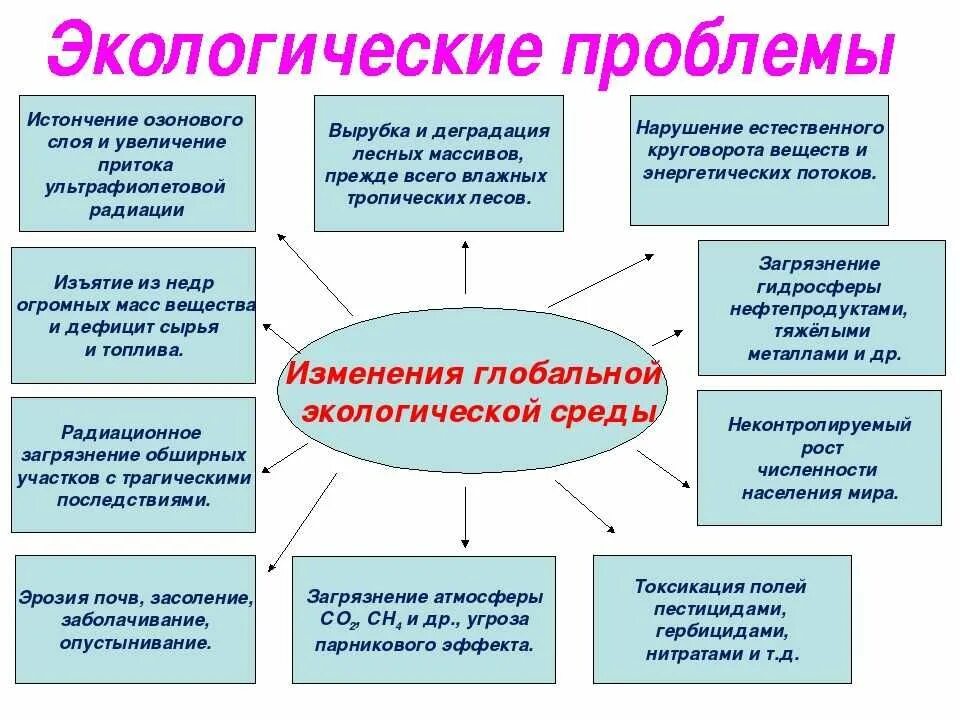 К экологическим проблемам современного общества относится
