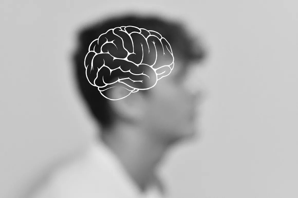 Brain less