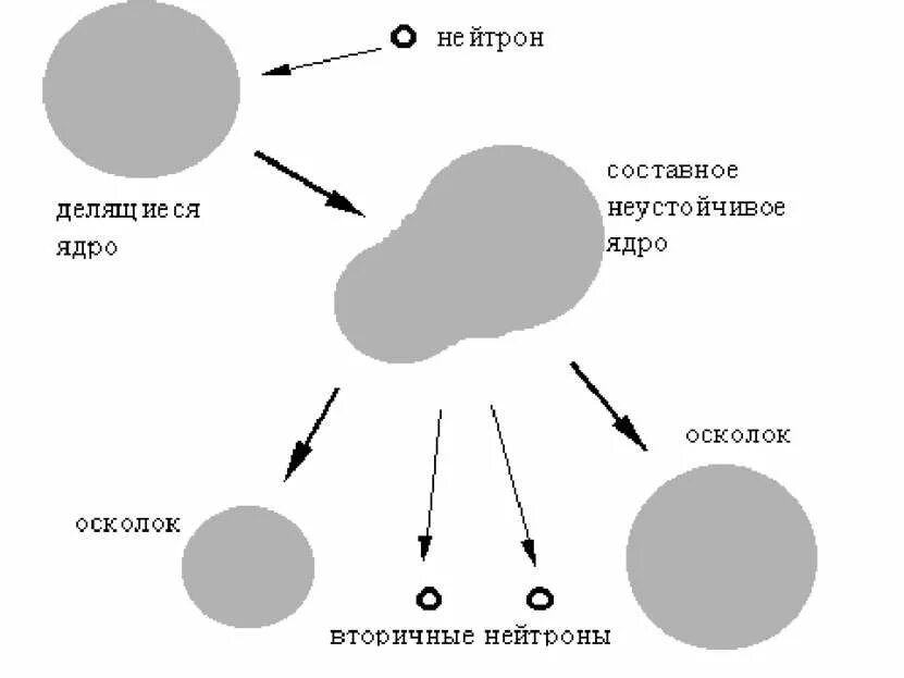 Ядро делится на. Неустойчивые ядра. Ядро урана. Нейтроны захватываются ядрами. Ядро урана захватывает нейтрон