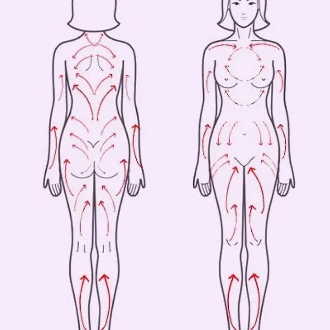 Массажные линии тела лимфа. Массажные линии тела схема лимфа. Лимфодренажный массаж тела сухой щеткой схема. Массаж лимфы тела схема. Классический лимфодренажный