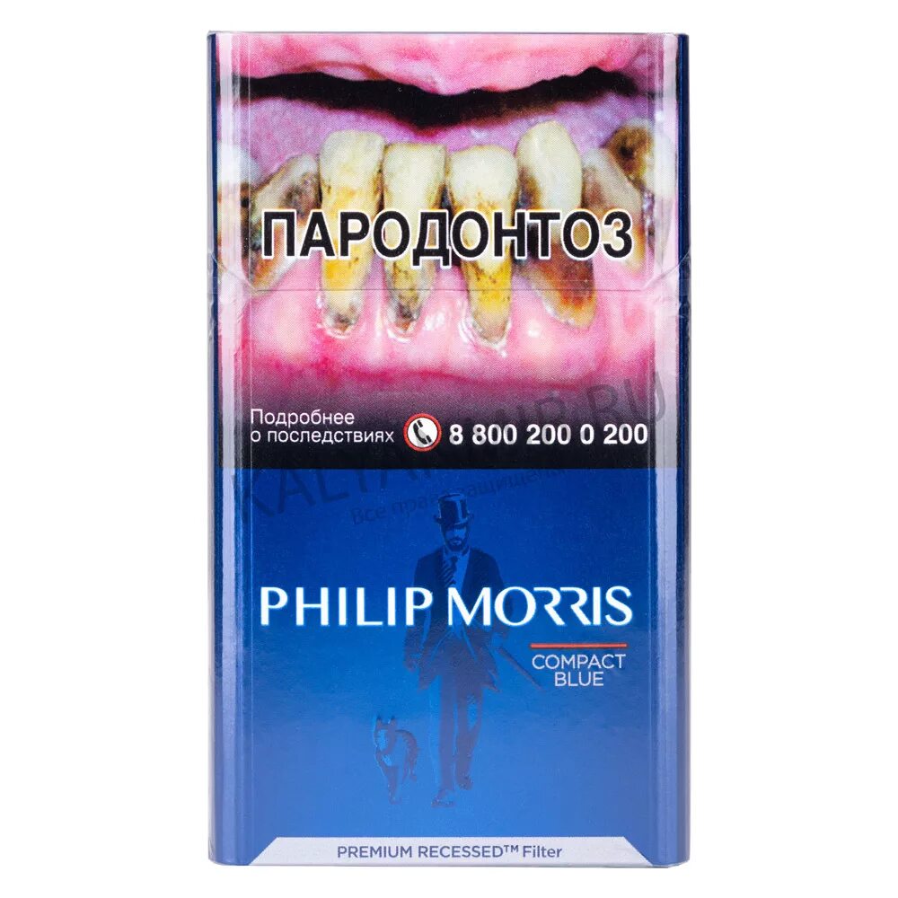 Сигареты Philip Morris Compact Premium. Сигареты Филлип Морис компакт премиум микс. Сигареты Филипс Моррис компакт. Филип моррис купить