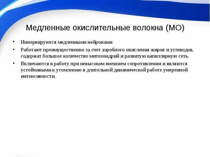 Окислительно гликолитические волокна. Окислительные и гликолитические мышечные волокна. Виды мышечных волокон. Окислительно гликолитические волокна. Красные мышечные волокна.