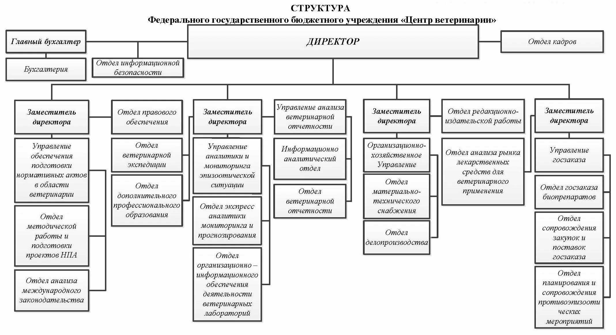 Организационная структура органов местного самоуправления. Структура органов местного самоуправления города. Схема организационной структуры администрации. Схема органов местного самоуправления городского округа.