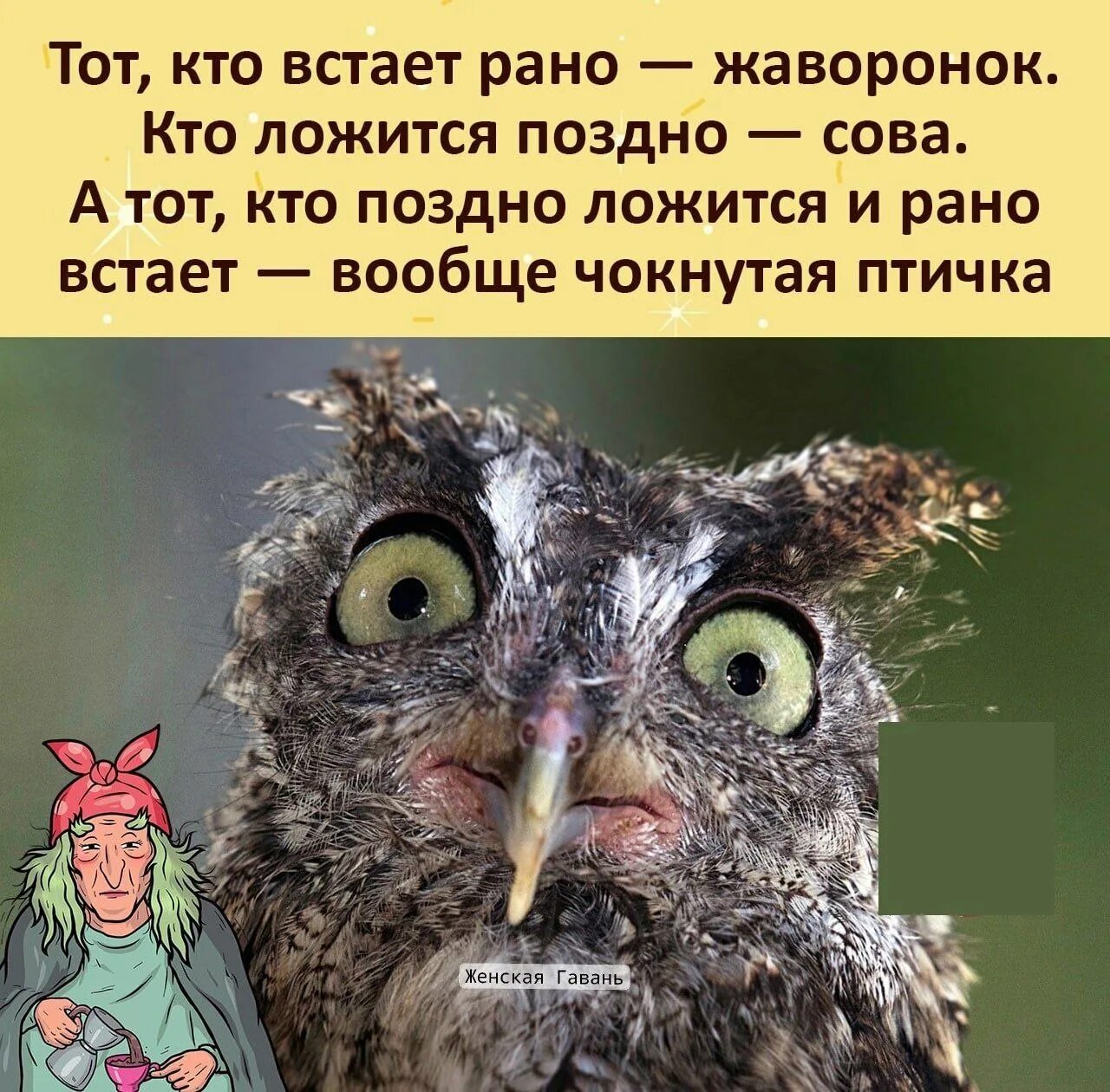 Кто проснется этой ночью тот