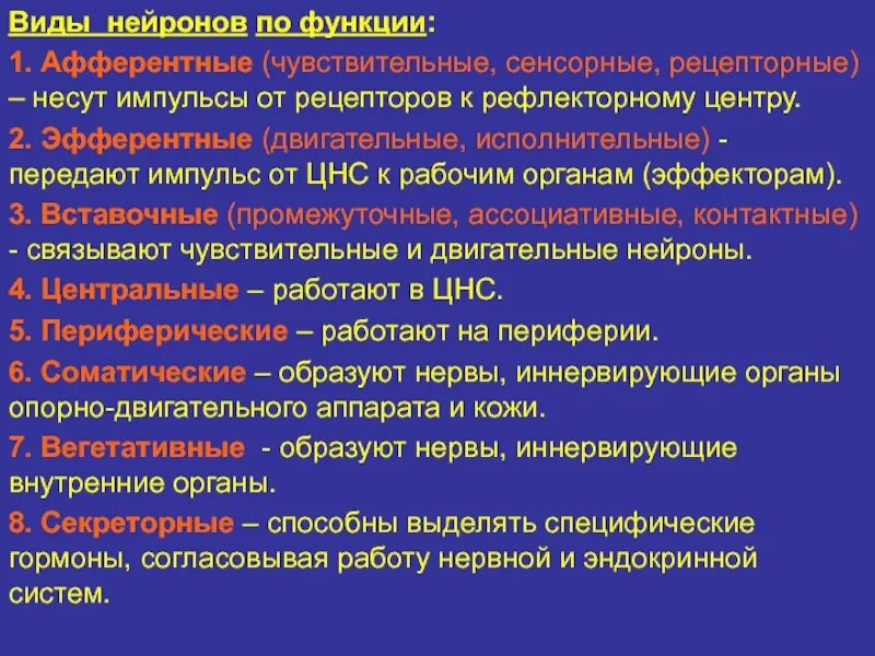 Нейроны выполняют функцию. Типичная структура нейрона. Функции нейрона. Вставочный нейрон функции. Нейрогенетика картинки.