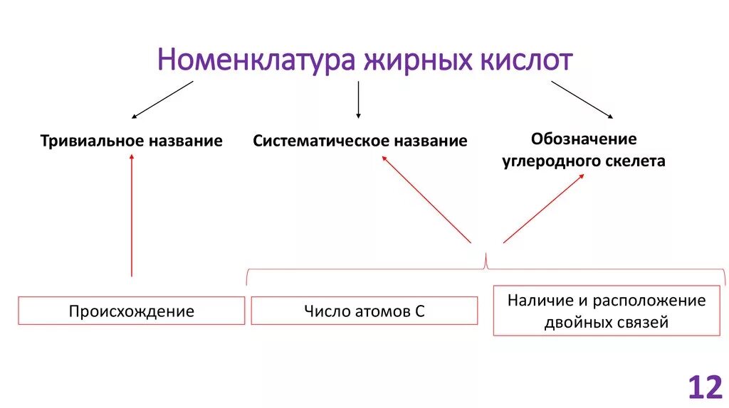 Классификация и номенклатура кислот. Классификация и номенклатура жирных кислот. ненасыщенный в жирные кислоты номенклатура. строение и номенклатура жирных кислот. номенклатура жирных кислот биохимия.