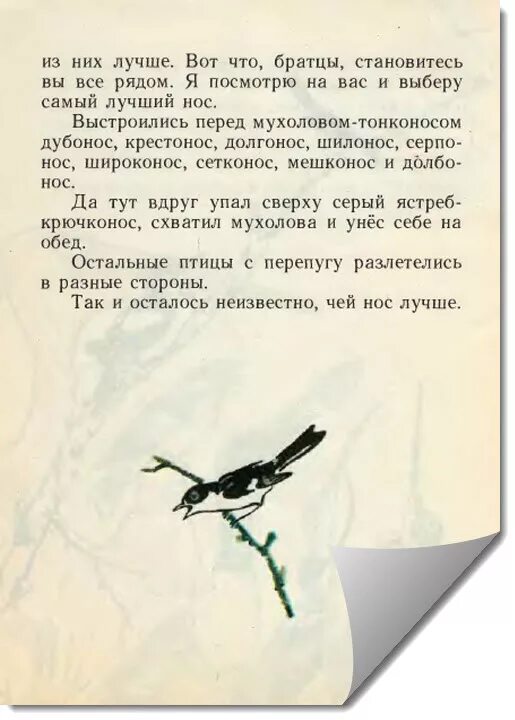 Чьи это ноги бианки. В. Сказка виталия виталия бианки чей нос лучше. Чей нос лучше иллюстрации. Книга бианки чей нос лучше.