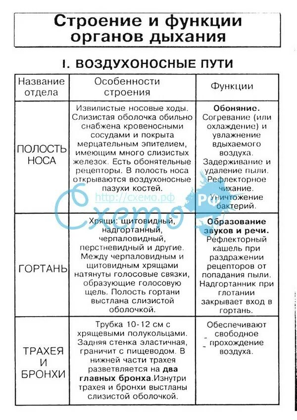 Интерактивные средства на уроках биологии