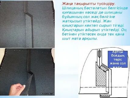 Әйел мен дельфин арасындағы жыныстық қатынас