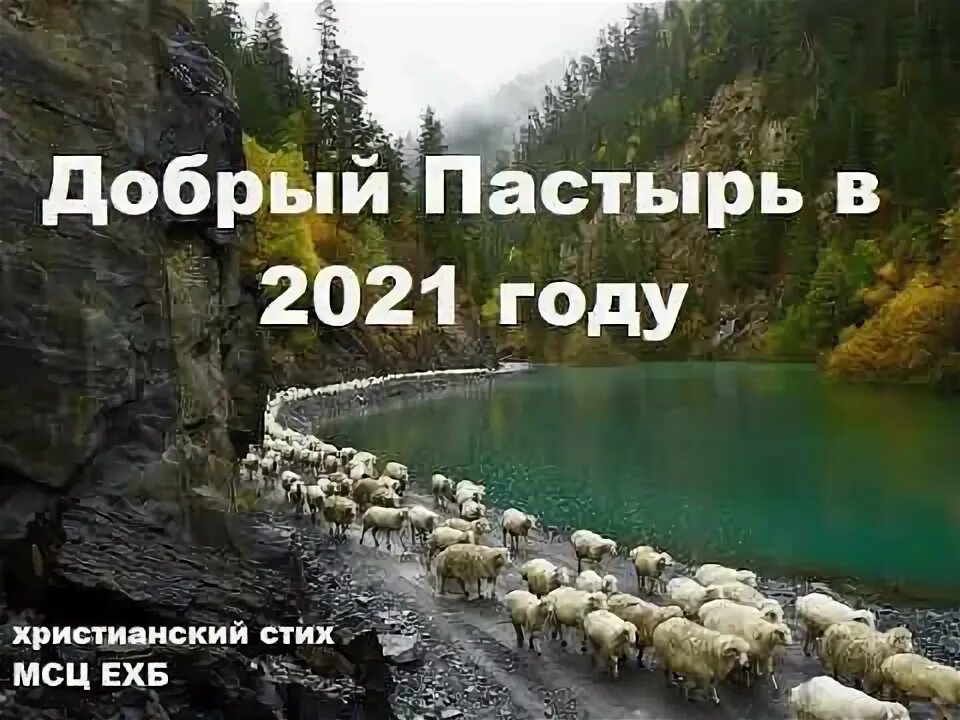 Малых вб. Малых вб