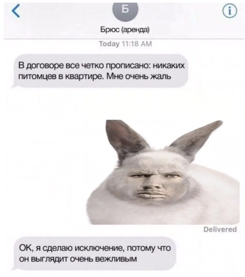 Ребенок бизнесмен. Пример для подражания. Выглядит воспитанным. Выглядит воспитанным. 6 детей для детей.