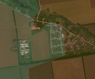 Населенный пункт тоненькое