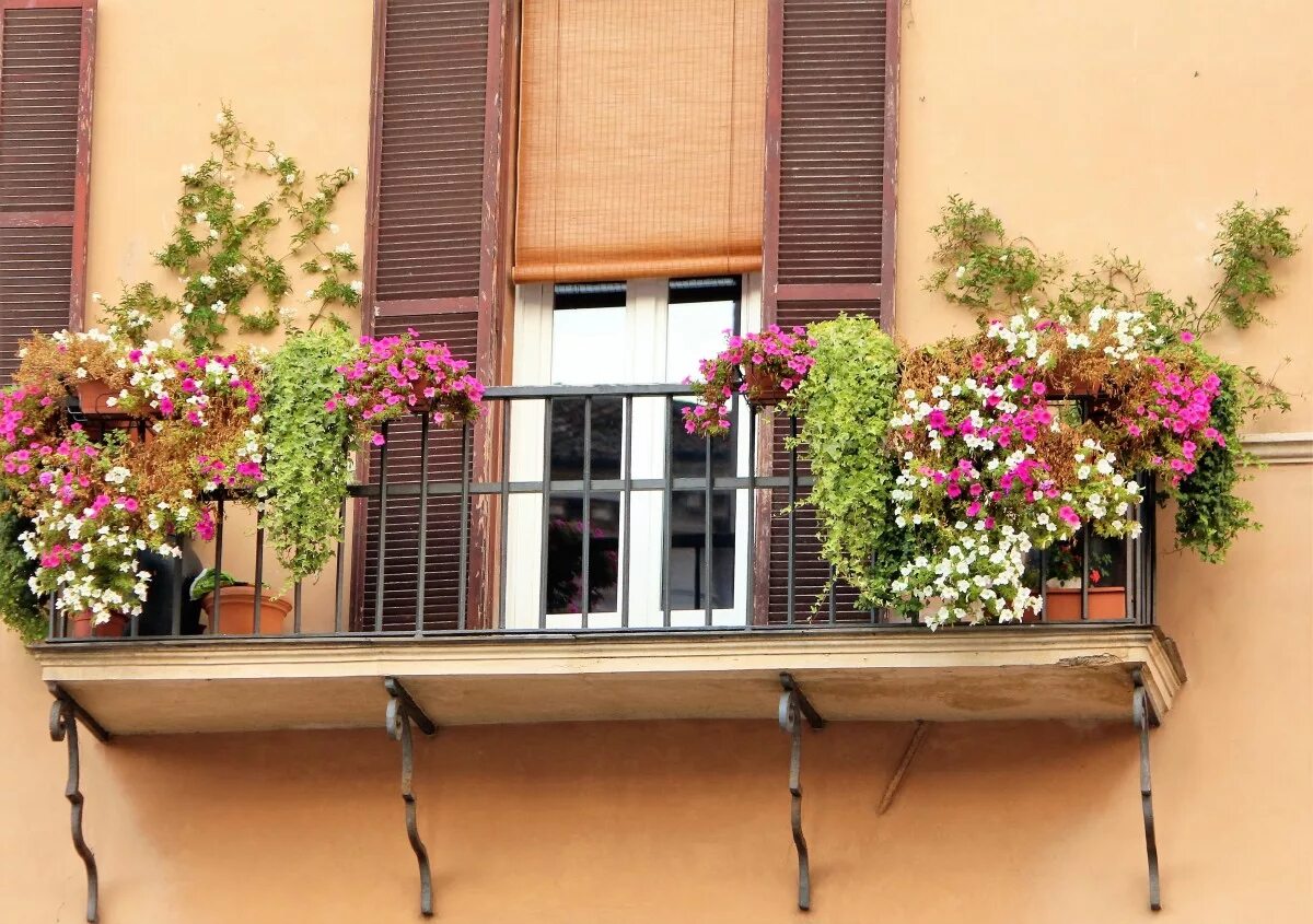 Цветы на балконе. Цветы на французском балконе. Застекленный балкон с цветами. Украшение балкона цветами.