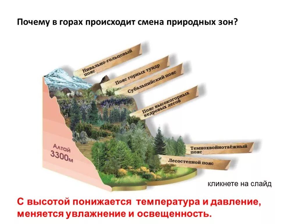 Как происходит смена природных зон в горах. Смена природных зон. климатические пояса гор. почему происходит смена природных зон. почему происходит смена природных зон в россии.