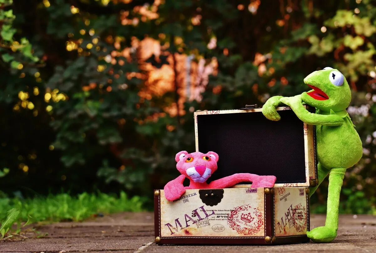 Frog box
