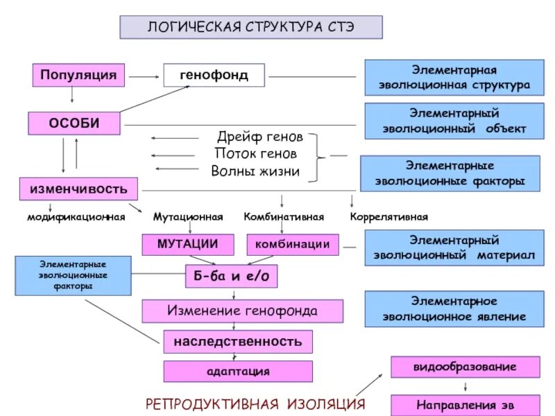 Эволюция структура
