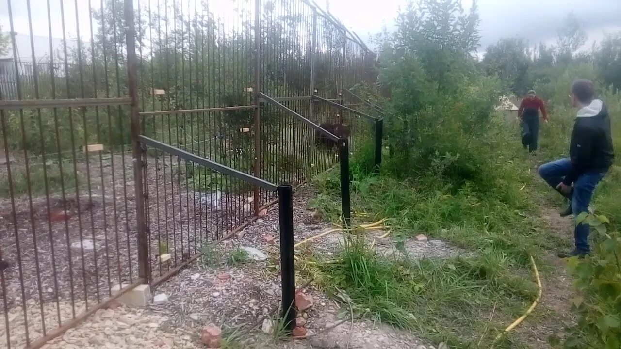 Феникс реабилитация диких животных. Центр реабилитации животных феникс. центр реабилитации феникс калуга. приют для животных в калуге феникс. реабилитационный центр для диких животных феникс калуга.