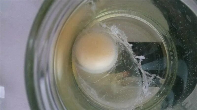 Почему мутные белки яиц. Снятие порчи яйцом. Выкатывание яйцом расшифровка результатов.