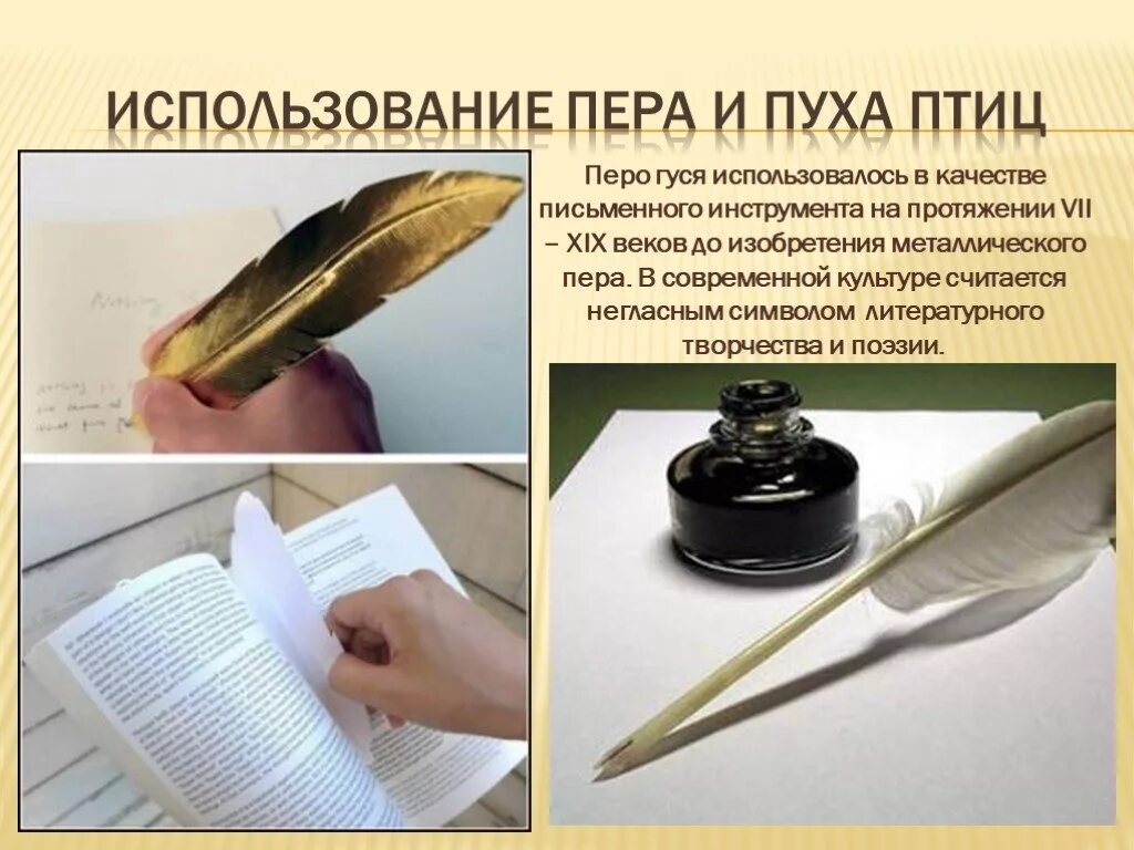 Что написано пером какой тип предложения. Перо для письма. гусиное перо для письма. перья птиц. как писали гусиным пером.