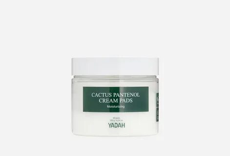 Yadah cactus