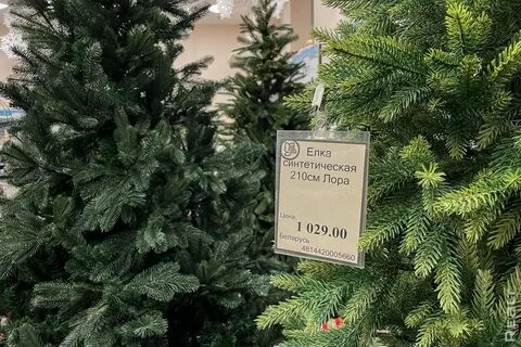 Сколько лет стоит елка