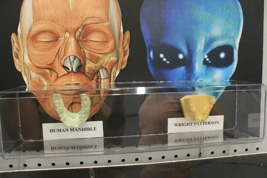 Roswell Museum (USA) / Музей НЛО в Розвелле (США) - YouTube