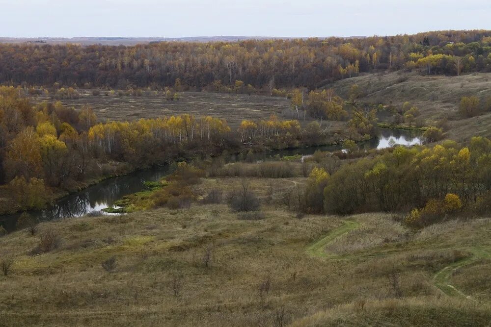 Авдеево зарайский. Деревня Никитино Зарайский район. Пейзаж Зарайский район. Река осетр впадает в оку. Ковылино Зарайский район.