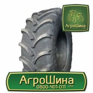 Агрошина 31