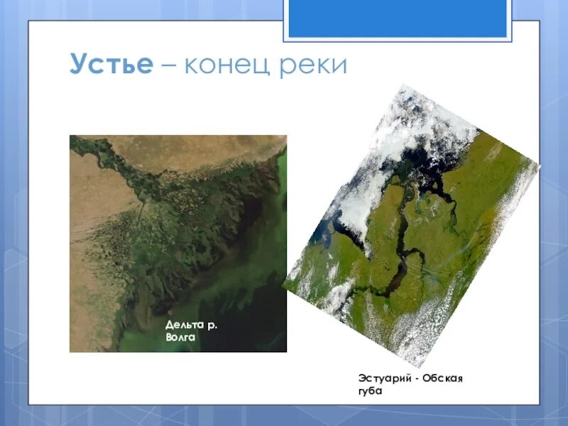 Конец реки. Дельта и эстуарий. дельта губа эстуарий. устье дельта и эстуарий. конец реки дельта и.