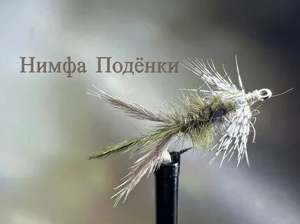 Нимфа видео