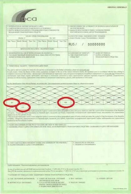 Зеленая карта страховка беларусь. Зеленая карта беларусь. Грин карта страхование. Оформить зеленую карту в беларусь. Белгосстрах полис зеленой карты.