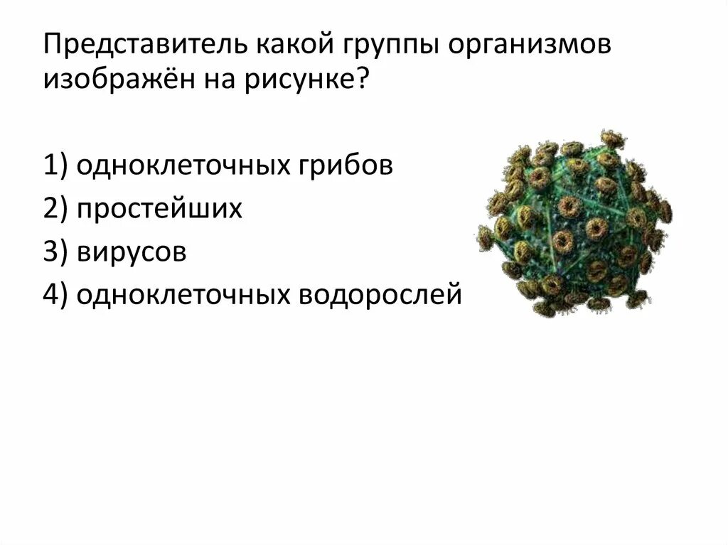 Представитель какой группы организмов изображён. Неклеточные формы жизни вирусы и бактериофаги. Представитель какой группы организмов изображён на рисунке. Вирусы это одноклеточные организмы.