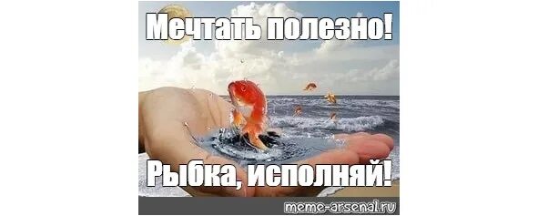 Предаюсь моим мечтам