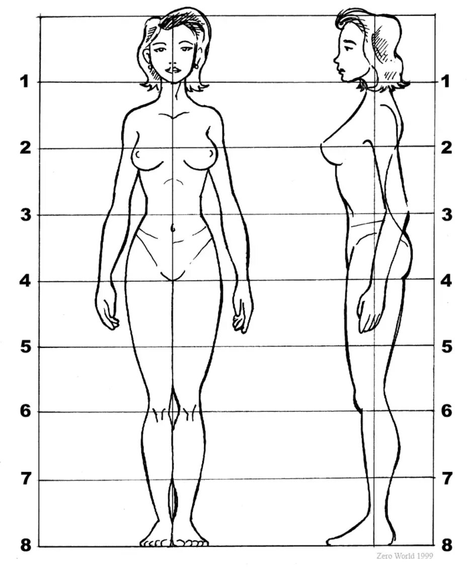 Зоны жизни человека сравниваем моделируем. Пропорции человека для рисования в полный рост. Пропорции женского тела в головах. Пропорции тела человека анатомия в цифрах. Пропорции тела женщины для рисования.