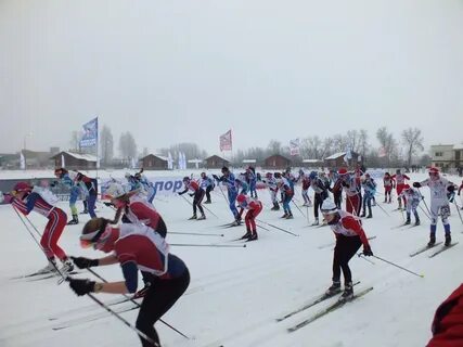 Лыжные трассы петербурга