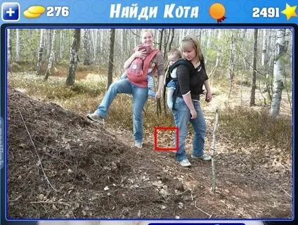 Ответ игру найди кота
