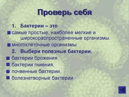 Положительная роль бактерий брожения