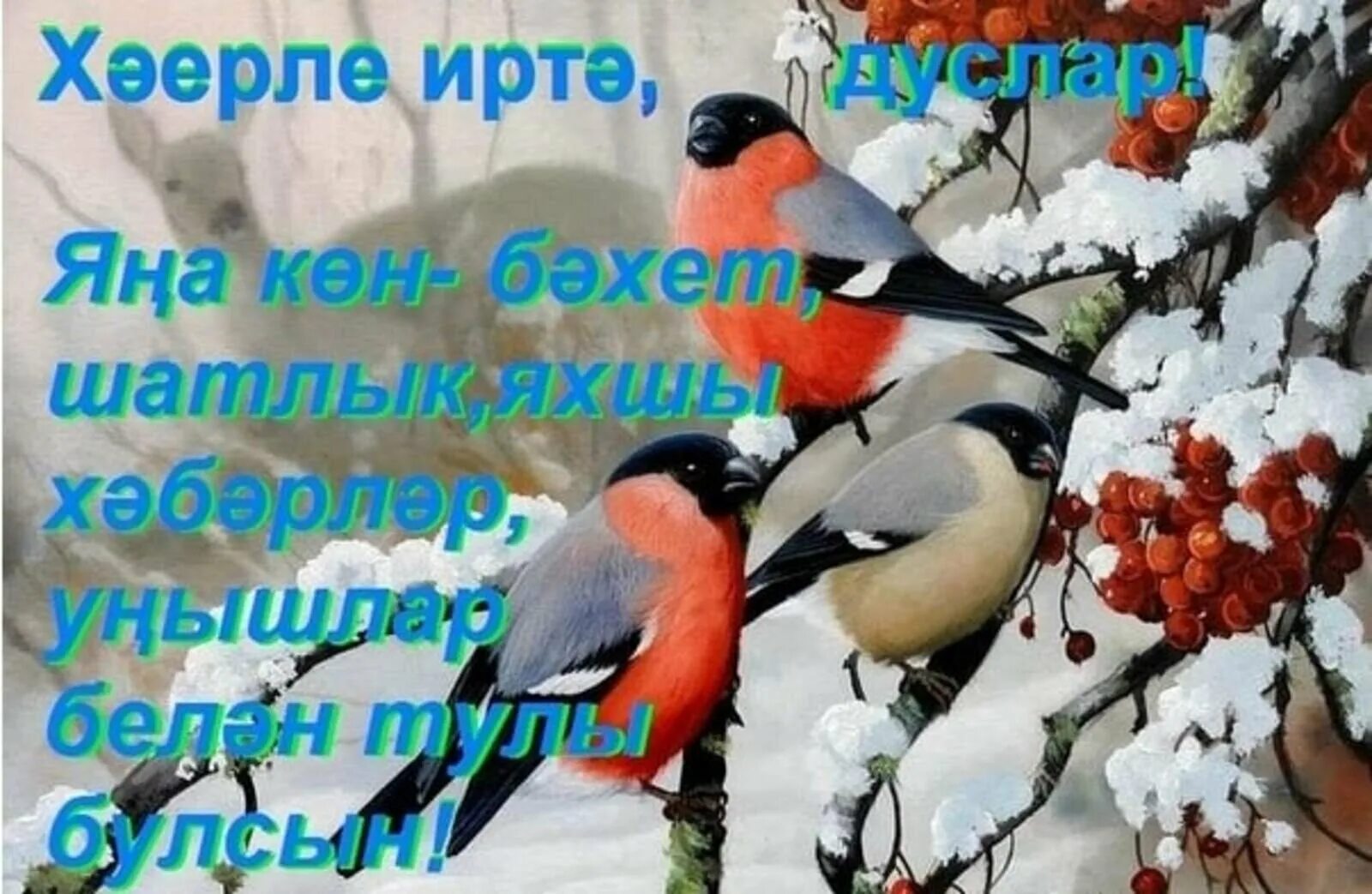 Открытки с добрым утром на татарском языке зимние. Открытки на татарском языке хэерле иртэ. Открытки Хәерле иртә на татарском языке. Открытки с добрым утром на татарском зимние.