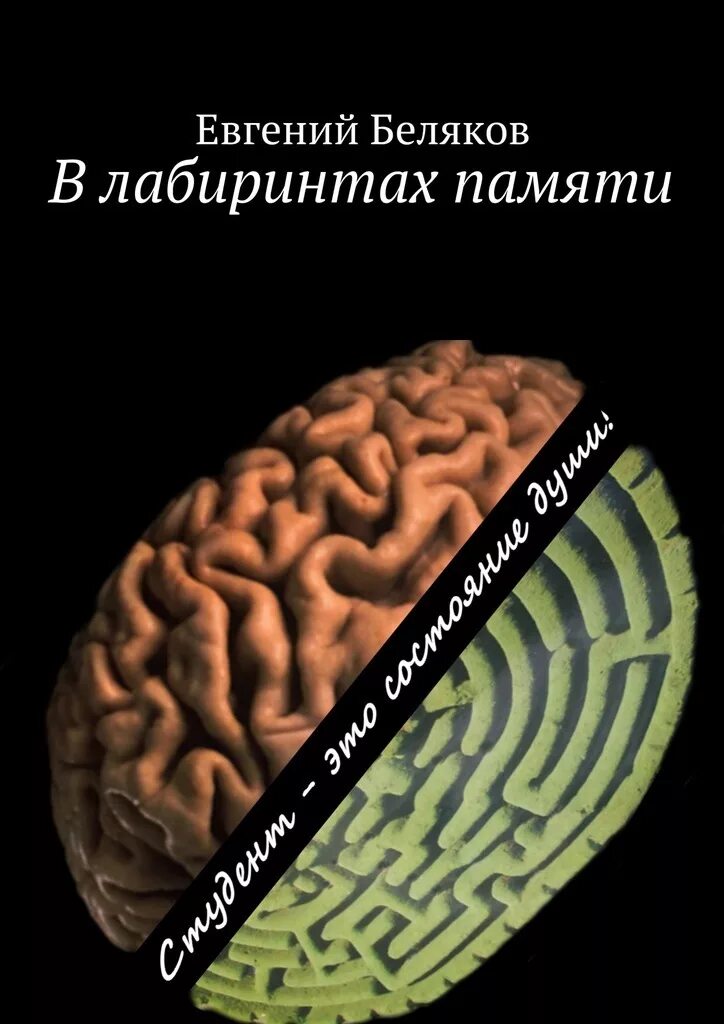 Книга лабиринты мозга. Лабиринт памяти. мозг лабиринт. лабиринты памяти книга. лабиринт воспоминаний.