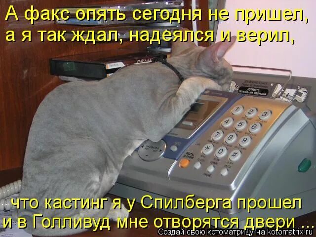 Ая так ждал налеялся и верио. Мем жизнь песок. Шутки про жанну. Открытка верь в лучшее. Потянулись серые будни.