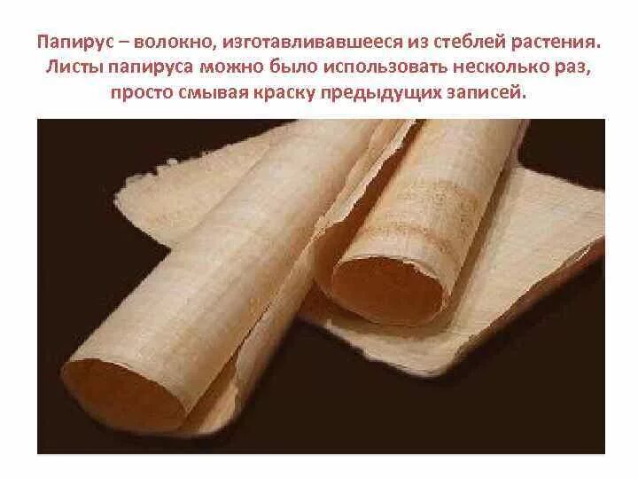 Материал для письма сделан из тростникового растения