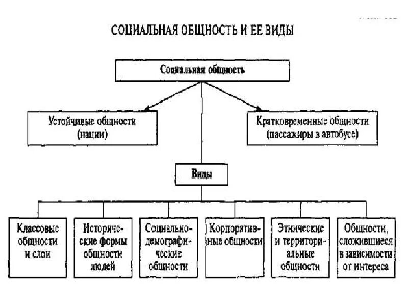 Приведите примеры социальных общностей