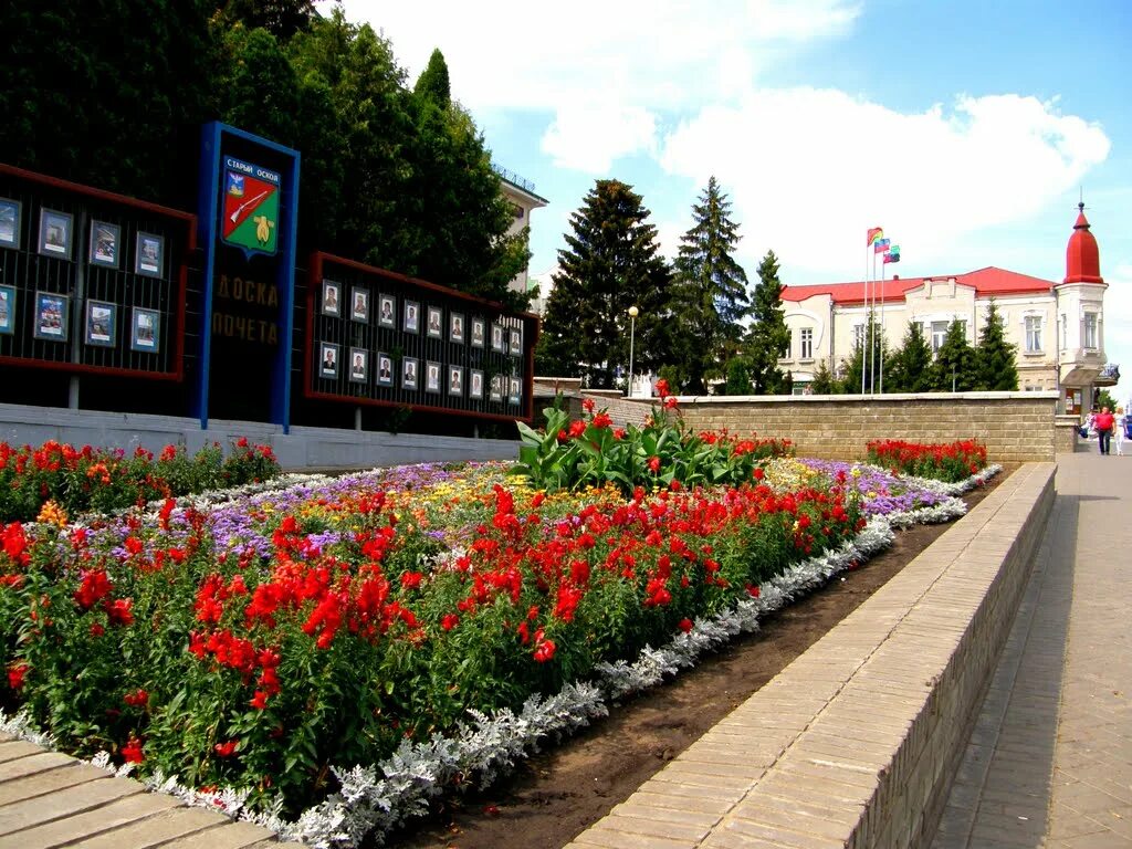 Старый оскол жить. Старый Оскол Белгородская область. Город старый Оскол Белгородской области. Старый Оскол площадь города. Новый Оскол старый Оскол.