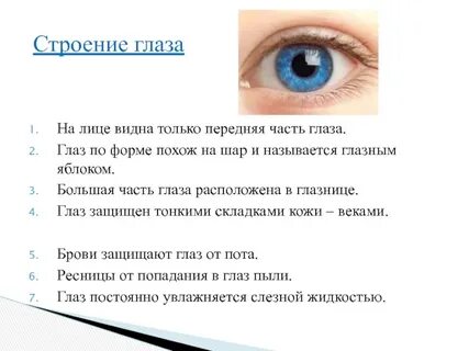 Какую роль играют глаза человека